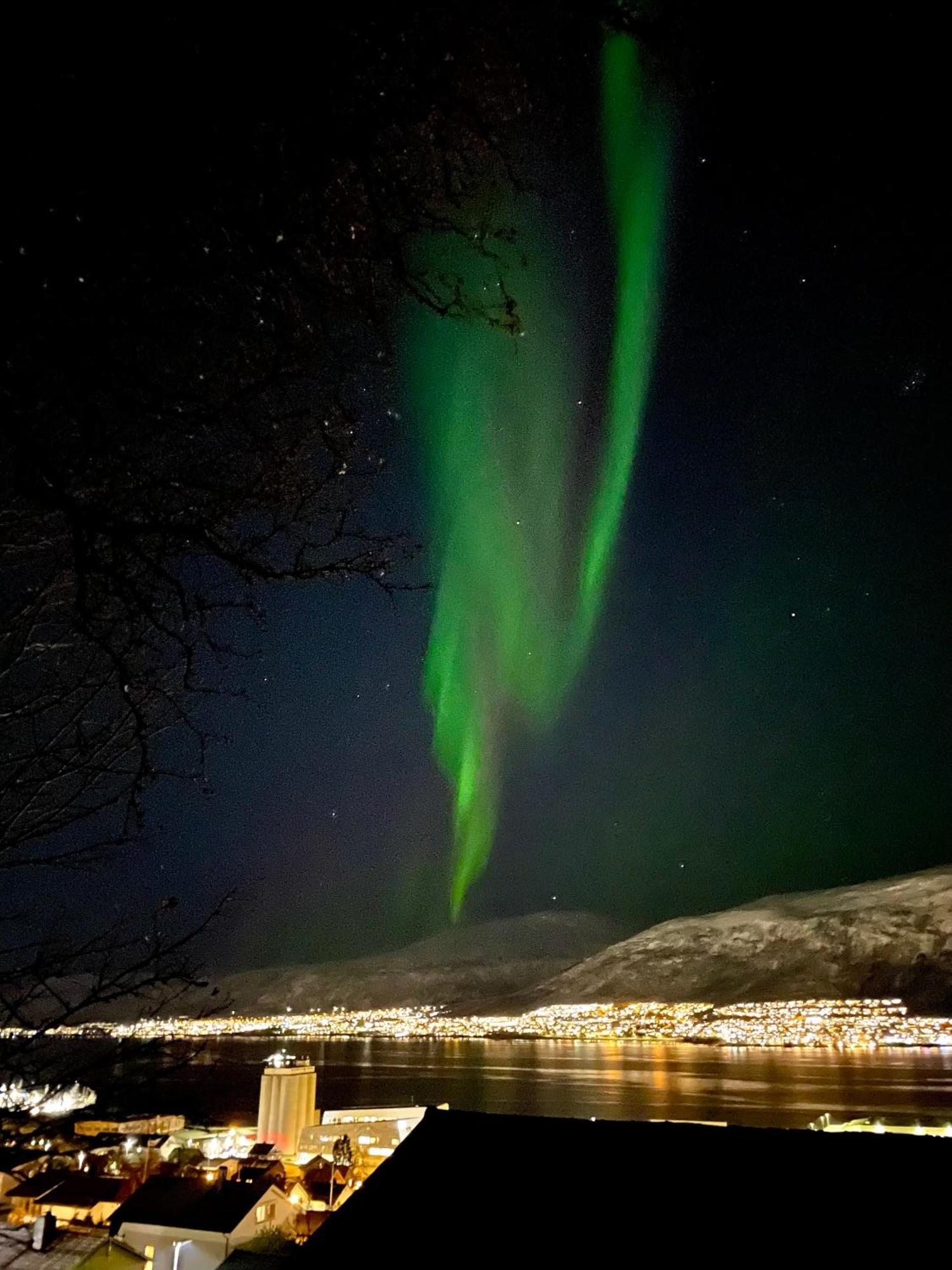 Penthouse With Panorama View And Great Location! Lägenhet Tromsø Exteriör bild